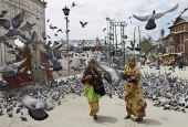 IIP Online Student Photography